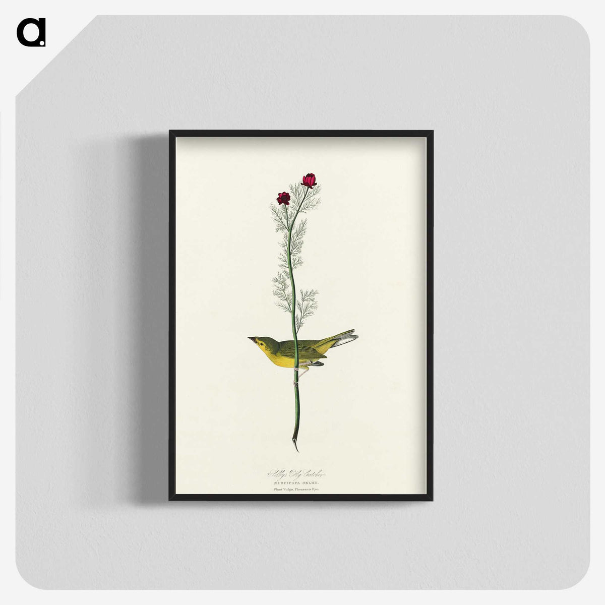 2-1_John-James-Audubon_blk-crop