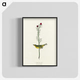 2-1_John-James-Audubon_blk-crop