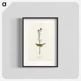 2-1_John-James-Audubon_blk