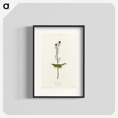 2-1_John-James-Audubon_blk