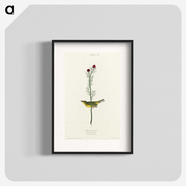 2-1_John-James-Audubon_blk