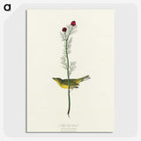2-1_John-James-Audubon_picture-crop