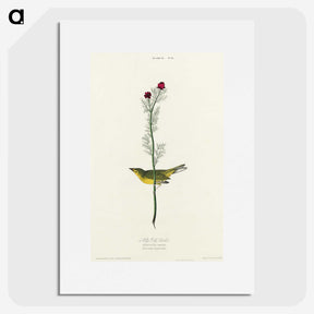 2-1_John-James-Audubon_picture