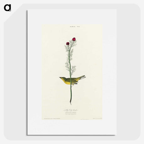 2-1_John-James-Audubon_picture