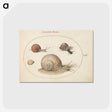 2-1_Joris-Hoefnagel_postcard