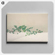 アートパネル-Green plants from Momoyogusa–Flowers of a Hundred Generations - 神坂 雪佳 Canvas.