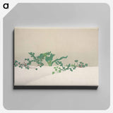 アートパネル-Green plants from Momoyogusa–Flowers of a Hundred Generations - 神坂 雪佳 Canvas.