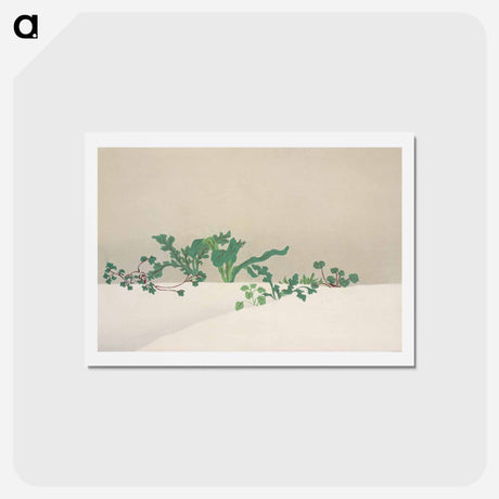 アートポストカード-Green plants from Momoyogusa–Flowers of a Hundred Generations - 神坂 雪佳 Postcard.