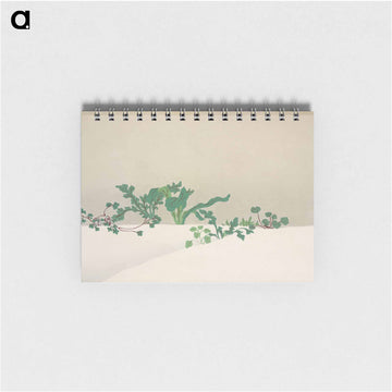Green plants from Momoyogusa–Flowers of a Hundred Generations - 神坂 雪佳 Memo.