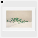 Green plants from Momoyogusa–Flowers of a Hundred Generations - Kamisaka Setsuka Poster.