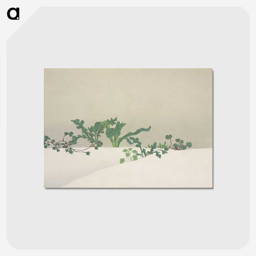 雪間に萌える草 - 神坂 雪佳 Postcard.