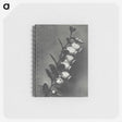 2-1_Karl-Blossfeldt_memo