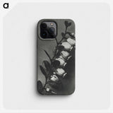 2-1_Karl-Blossfeldt_phone