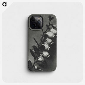 2-1_Karl-Blossfeldt_phone