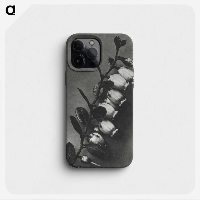 2-1_Karl-Blossfeldt_phone