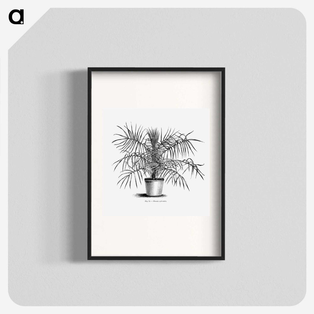 2-1_Les-Palmiers-Histoire-Iconographique_blk