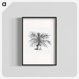 2-1_Les-Palmiers-Histoire-Iconographique_blk