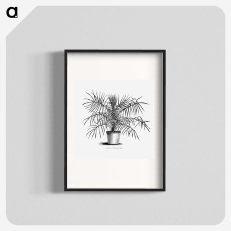 2-1_Les-Palmiers-Histoire-Iconographique_blk