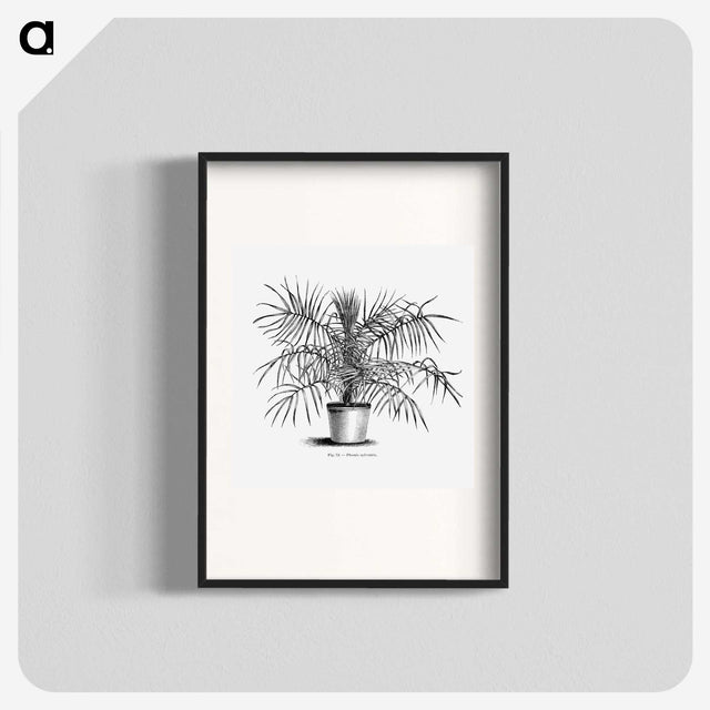 2-1_Les-Palmiers-Histoire-Iconographique_blk