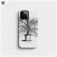2-1_Les-Palmiers-Histoire-Iconographique_phone