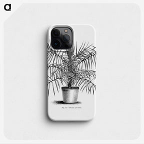 2-1_Les-Palmiers-Histoire-Iconographique_phone