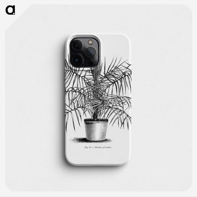 2-1_Les-Palmiers-Histoire-Iconographique_phone