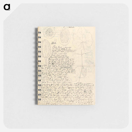 アートメモ帳-Coccinea abyssinica
 - ルイージ バルガーニ Memo.