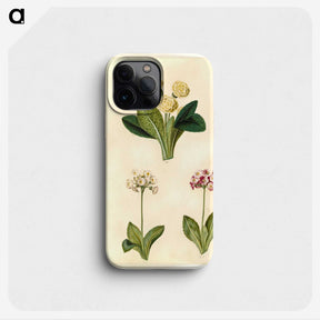 2-1_Maria-Sibylla-Merian_phone