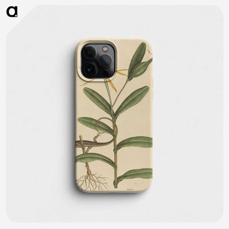 2-1_Mark-Catesby_phone