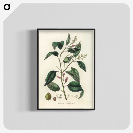 2-1_Medical-Botany_blk-crop