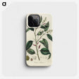 2-1_Medical-Botany_phone