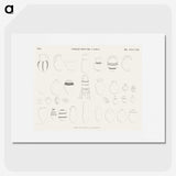 2-1_Monuments-of-Egypt-and-Nubia_picture