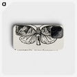 2-1_Moths-and-Butterflies-of-the-United-States_phone