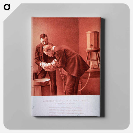 アートパネル-Ascertaining Capacity of Cranial Cavity by Means of Water: Photograph No. 2
 - 国立医学図書館 Canvas.
