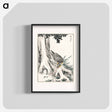 アートポスター-Japanese Great Tit and Japanese Cypress
 - 鳥類図鑑 Poster.
