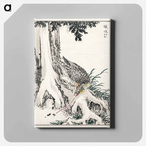 アートパネル-Japanese Great Tit and Japanese Cypress
 - 鳥類図鑑 Canvas.