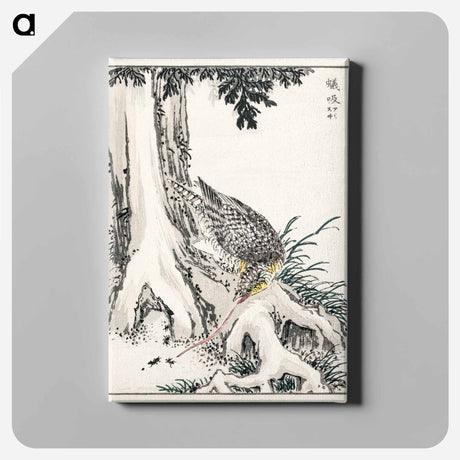 アートパネル-Japanese Great Tit and Japanese Cypress
 - 鳥類図鑑 Canvas.