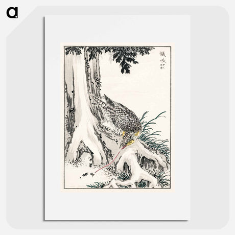 アートポスター-Japanese Great Tit and Japanese Cypress
 - 鳥類図鑑 Poster.