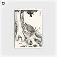 アートポストカード-Japanese Great Tit and Japanese Cypress
 - 鳥類図鑑 Postcard.
