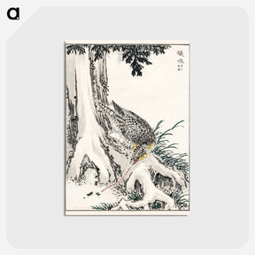 アートポストカード-Japanese Great Tit and Japanese Cypress
 - 鳥類図鑑 Postcard.