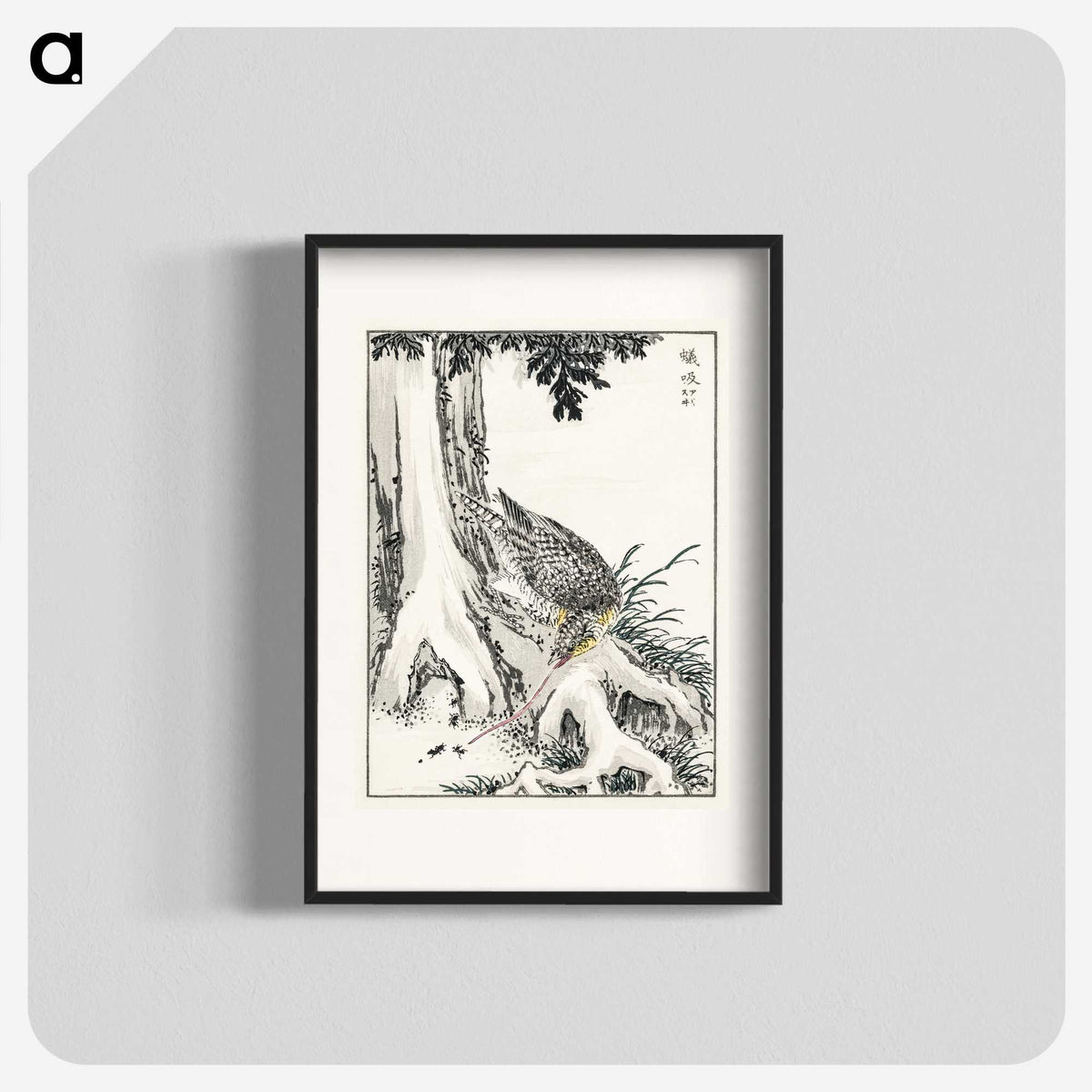 2-1_Pictorial-Monograph-of-Birds_blk