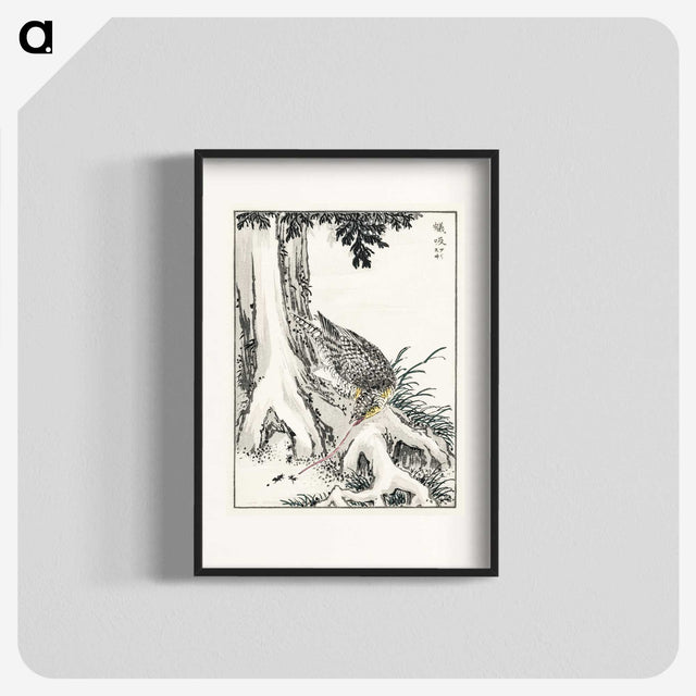 2-1_Pictorial-Monograph-of-Birds_blk