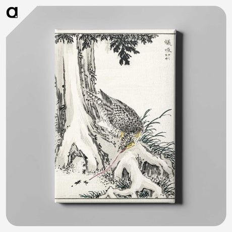 2-1_Pictorial-Monograph-of-Birds_canvas