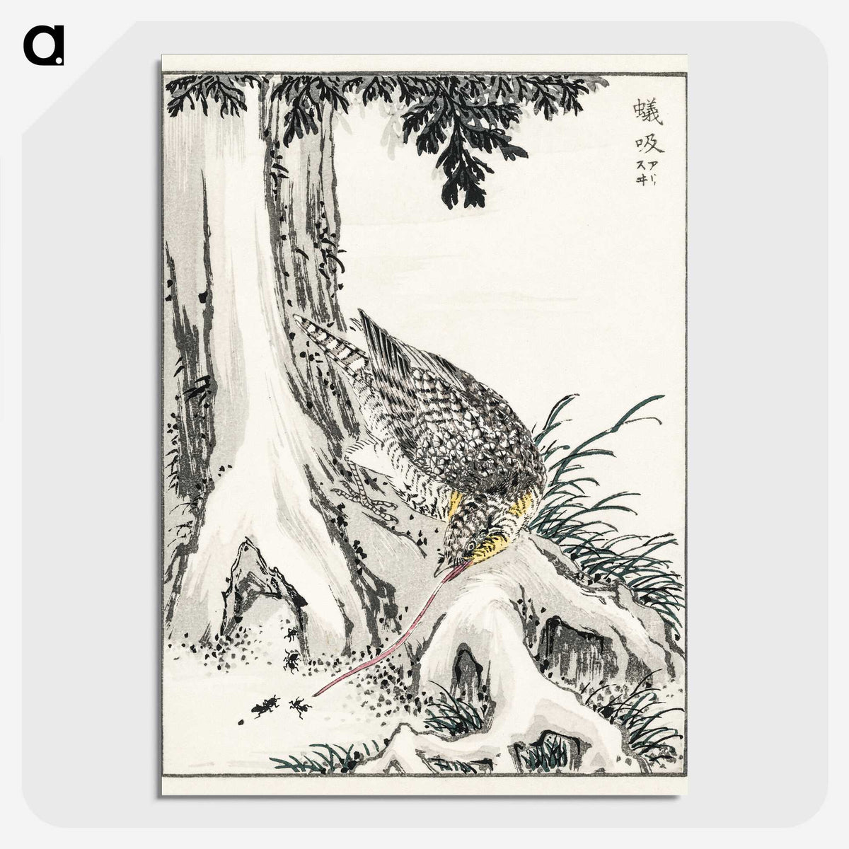 2-1_Pictorial-Monograph-of-Birds_picture-crop