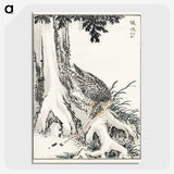 2-1_Pictorial-Monograph-of-Birds_picture-crop