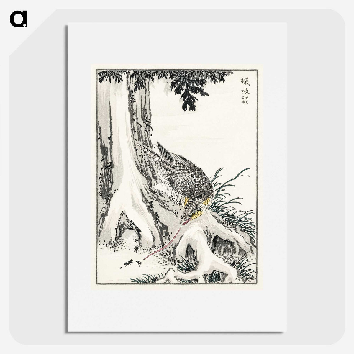 2-1_Pictorial-Monograph-of-Birds_picture