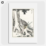 2-1_Pictorial-Monograph-of-Birds_picture