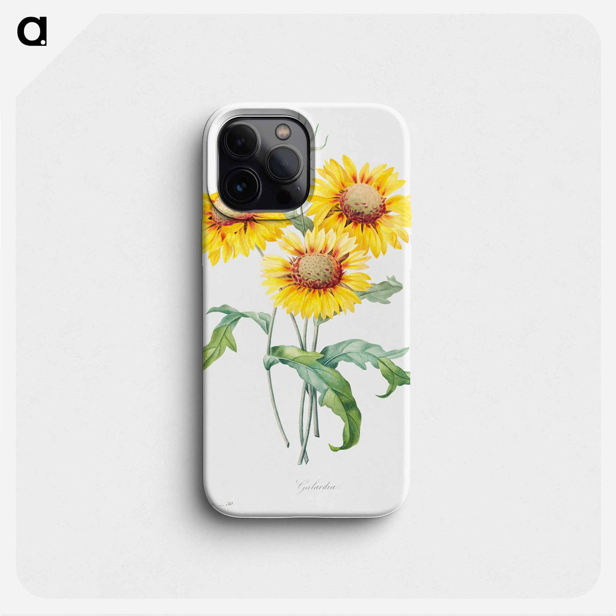 Blanket flower - ピエール ジョゼフ ルドゥーテ Phone Case.