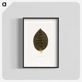 2-1_Plants-with-Colored-Foliage_blk