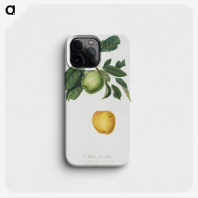 2-1_Pomona-Italiana_phone